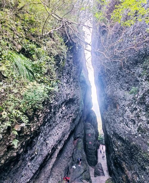 霍山真龍地景點 霍山真龍地景點 觀賞魚百科 第8張