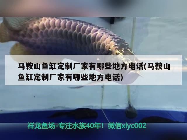 馬鞍山魚缸定制廠家有哪些地方電話(馬鞍山魚缸定制廠家有哪些地方電話) 馬鞍山魚缸定制廠家有哪些地方電話(馬鞍山魚缸定制廠家有哪些地方電話) 觀賞魚百科