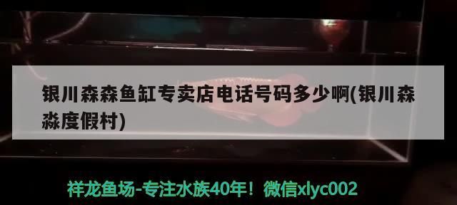 銀川森森魚缸專賣店電話號碼多少啊(銀川森淼度假村)
