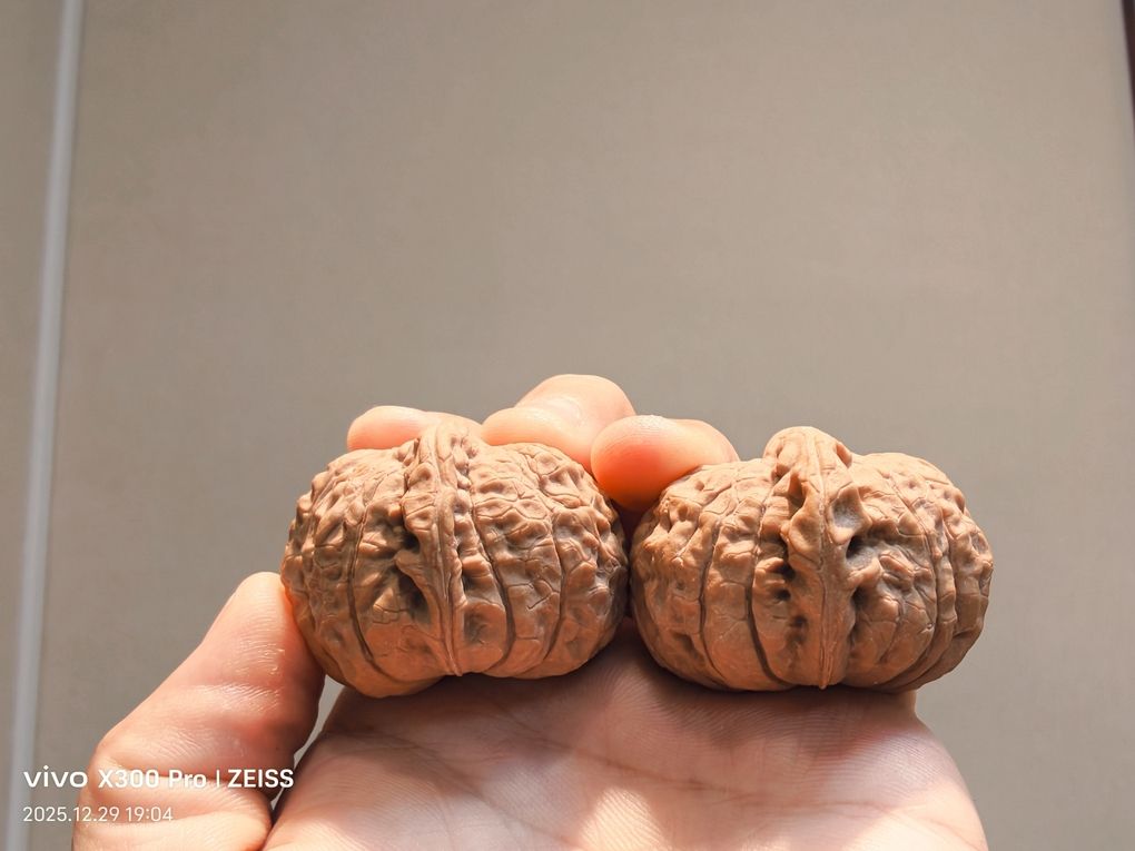 精品南瓜墩266包郵