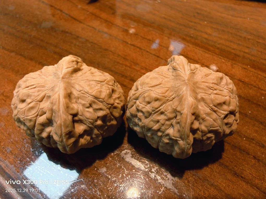 精品南瓜墩266包郵