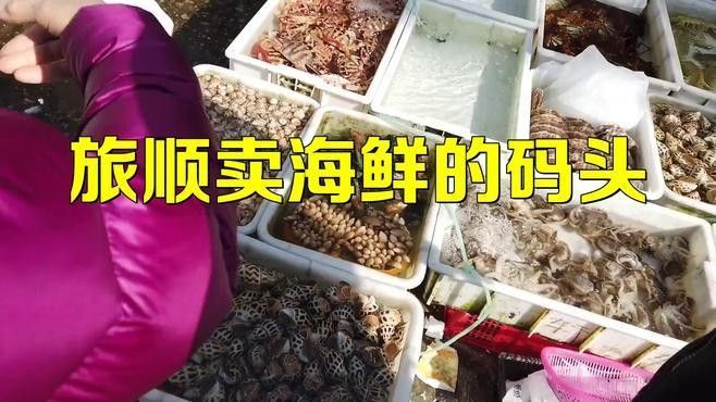 旅順龍王塘魚市 旅順龍王塘魚市 觀賞魚百科 第3張