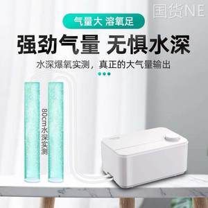 紅龍魚等級(jí)區(qū)分圖解高清（關(guān)于紅龍魚的等級(jí)劃分）