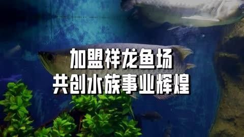 海象魚，祥龍魚場