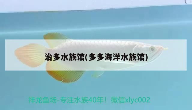 治多水族館(多多海洋水族館) 治多水族館(多多海洋水族館) 觀賞魚(yú)百科