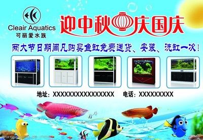 嘉興魚缸哪里買的到正宗的魚（嘉興魚缸哪里買的到正宗的魚苗） 嘉興魚缸哪里買的到正宗的魚（嘉興魚缸哪里買的到正宗的魚苗） 觀賞魚百科