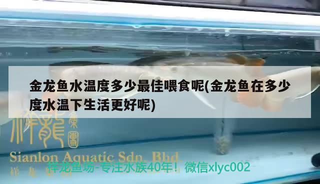 金龍魚水溫度多少最佳喂食呢(金龍魚在多少度水溫下生活更好呢) 金龍魚水溫度多少最佳喂食呢(金龍魚在多少度水溫下生活更好呢) 觀賞魚百科
