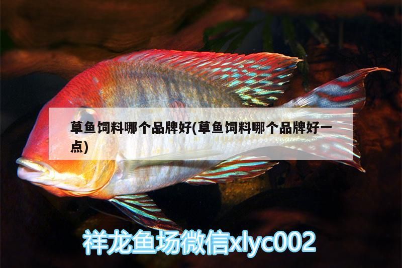 草魚飼料哪個品牌好(草魚飼料哪個品牌好一點)