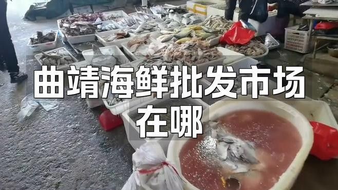曲靖大量賣魚的地方 曲靖大量賣魚的地方 觀賞魚百科 第3張