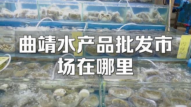 曲靖大量賣魚的地方 曲靖大量賣魚的地方 觀賞魚百科 第2張