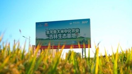 大型觀賞魚兇猛的品種(最兇猛的觀賞魚大排行)