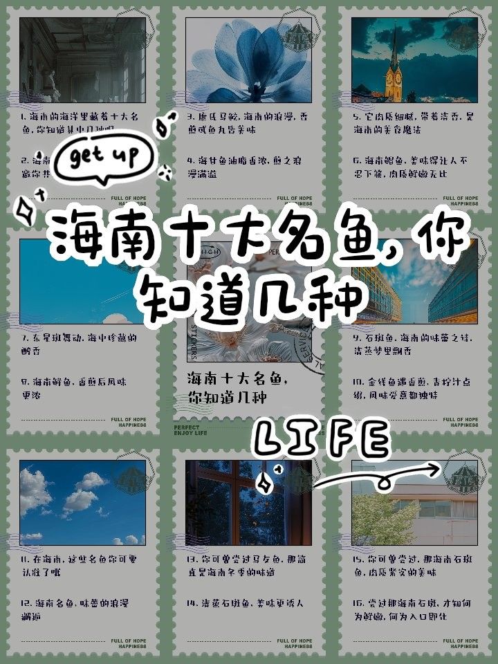 海南十大名魚 海南十大名魚 觀賞魚百科 第1張