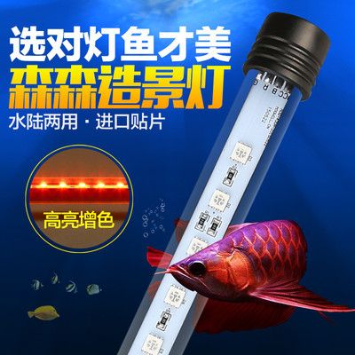 龍魚干蝦有營養嗎 銀龍魚老是在魚缸底下游(銀龍魚總是在魚缸下面游動是咋回事) 觀賞魚百科 銀龍魚老是在魚缸底下游(銀龍魚總是在魚缸下面游動是咋回事) 銀龍魚老是在魚缸底下游(銀龍魚總是在魚缸下面游動是咋回事) 觀賞魚百科
