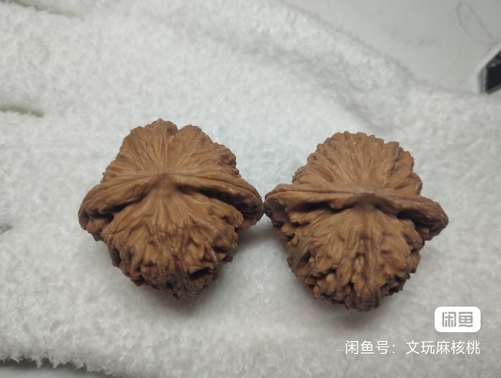 66.66 龍魚論壇 第1張 66.66 66.66 龍魚論壇 第1張