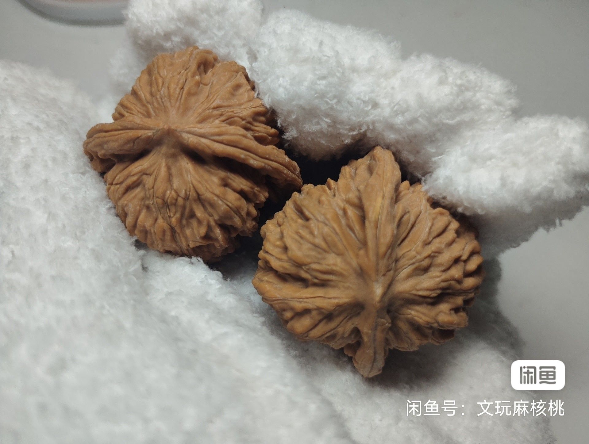 66.66 龍魚論壇 第2張 66.66 66.66 龍魚論壇 第2張