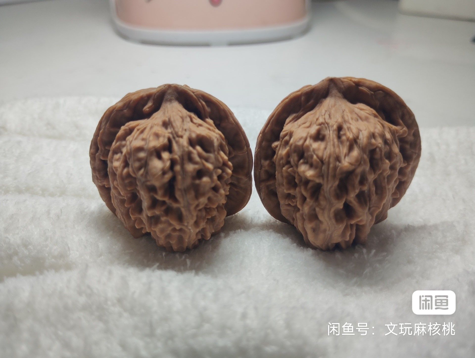 專屬福利價，手慢無