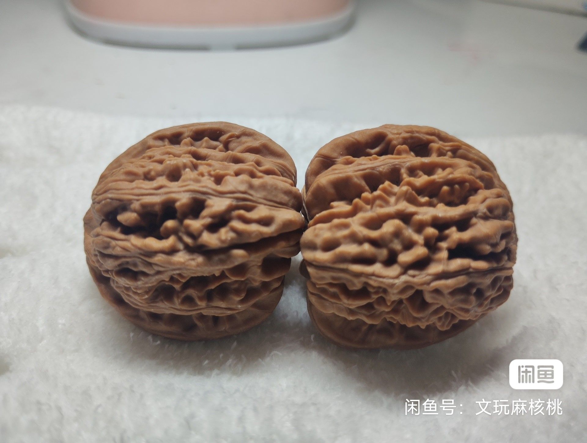 專屬福利價，手慢無