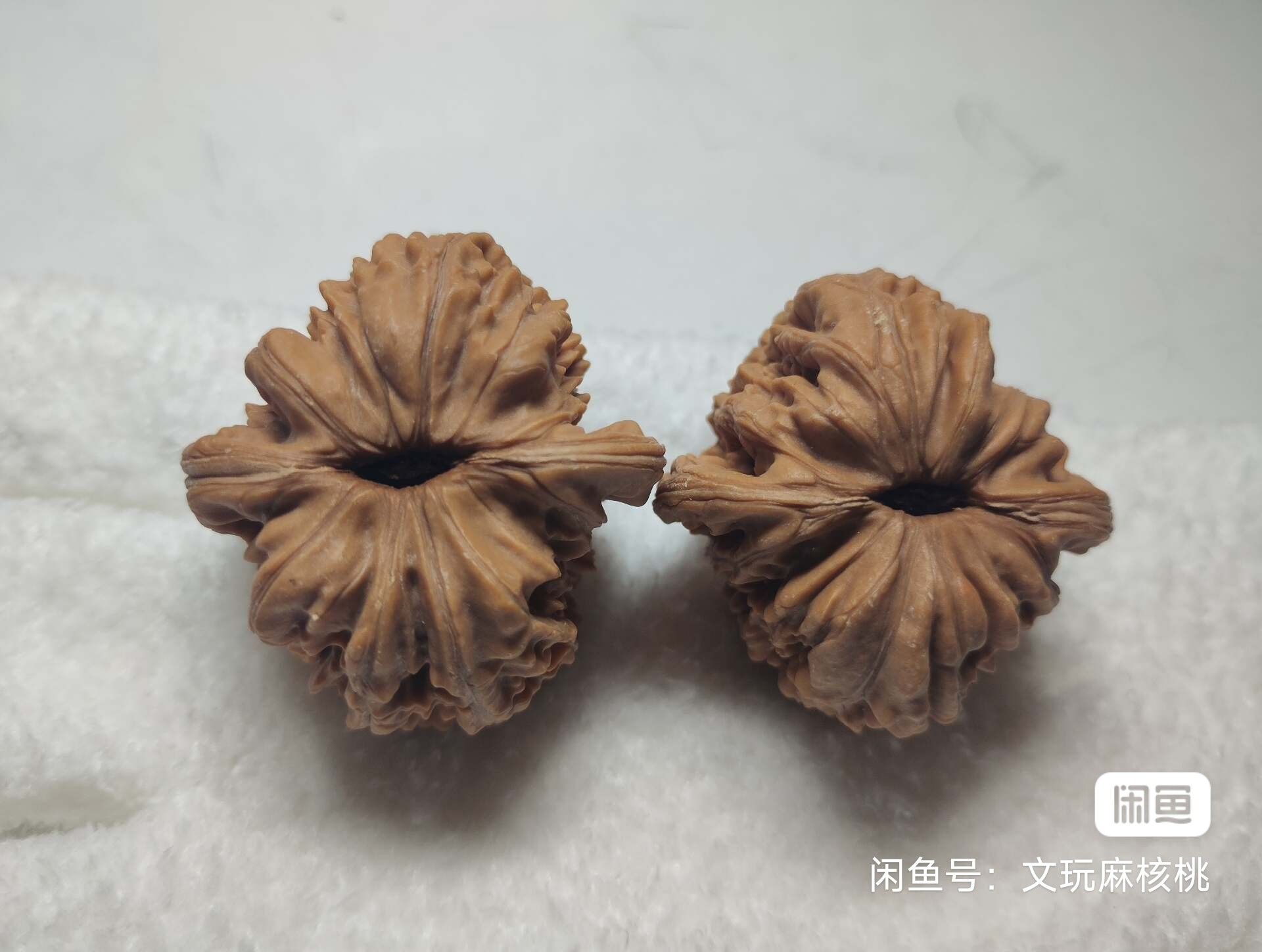 專屬福利價，手慢無