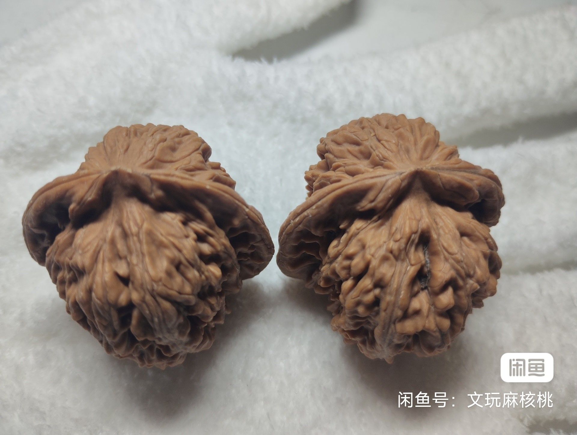 專屬福利價，手慢無
