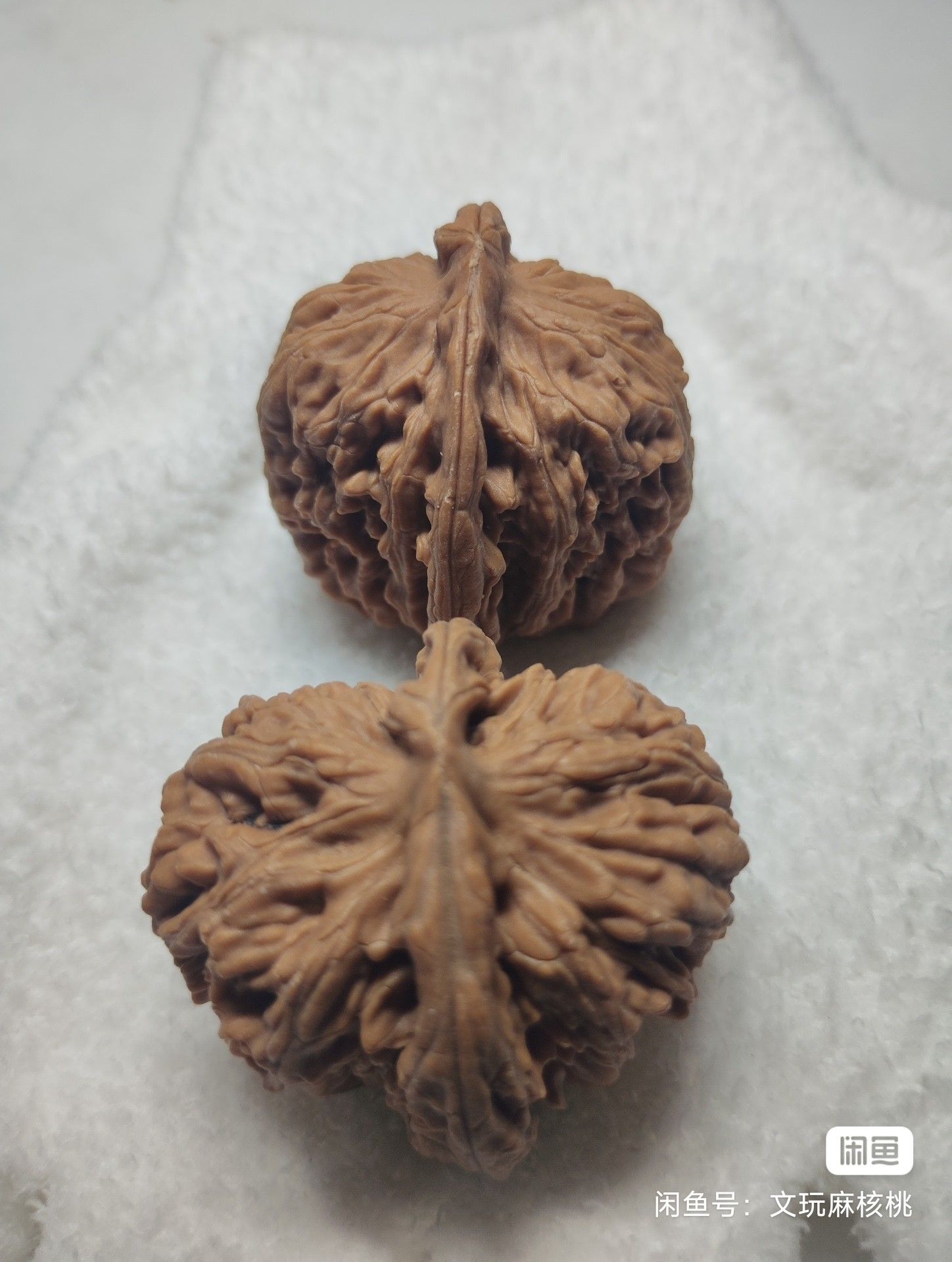 專屬福利價，手慢無