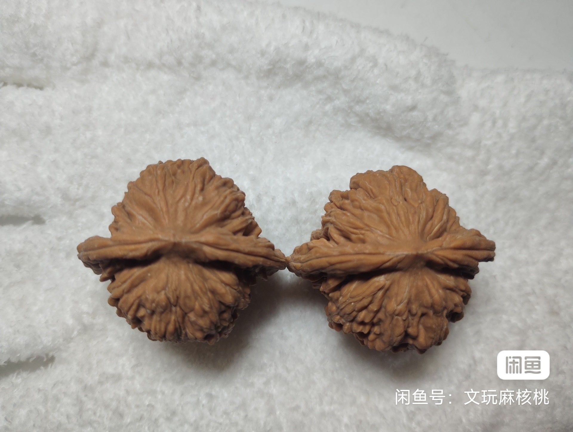 全品四座樓