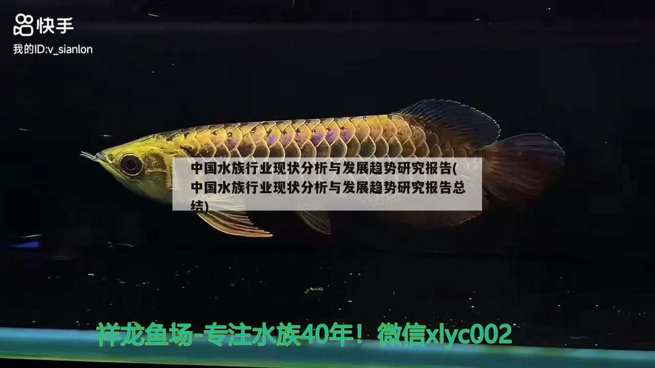 中國水族行業(yè)現(xiàn)狀分析與發(fā)展趨勢研究報告(中國水族行業(yè)現(xiàn)狀分析與發(fā)展趨勢研究報告總結(jié)) 中國水族行業(yè)現(xiàn)狀分析與發(fā)展趨勢研究報告(中國水族行業(yè)現(xiàn)狀分析與發(fā)展趨勢研究報告總結(jié)) 觀賞魚百科