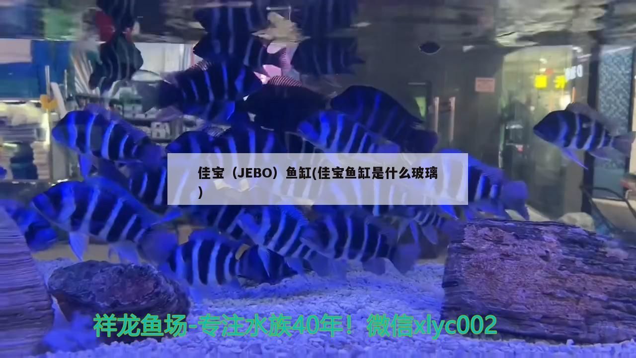 佳寶（JEBO）魚缸(佳寶魚缸是什么玻璃)
