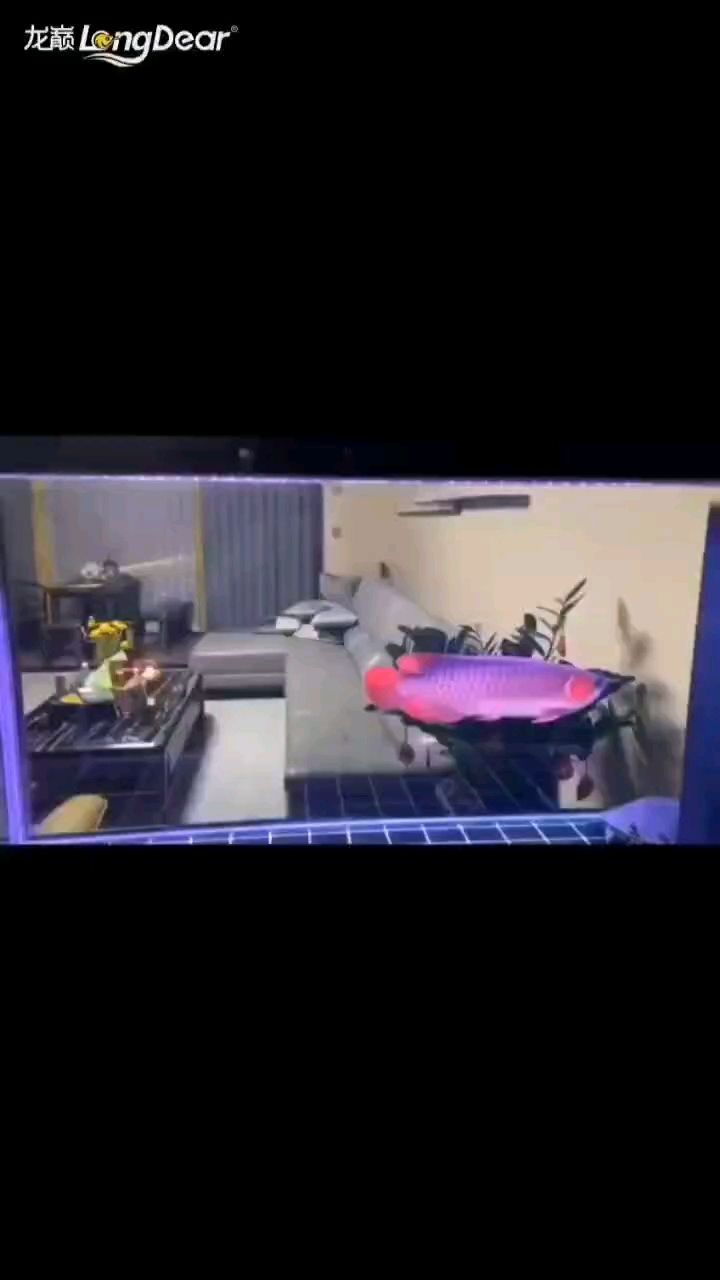 轉發957