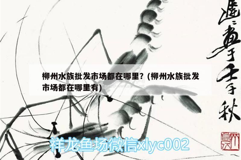 柳州水族批發市場都在哪里？(柳州水族批發市場都在哪里有)