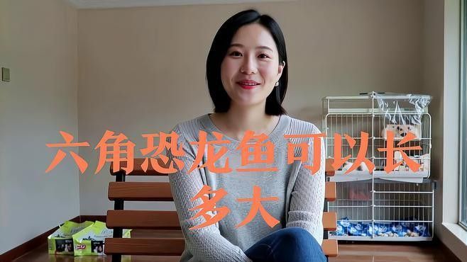 六爪恐龍魚能長多大
