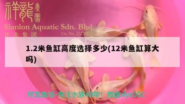 1.2米魚缸高度選擇多少(12米魚缸算大嗎) 1.2米魚缸高度選擇多少(12米魚缸算大嗎) 觀賞魚百科