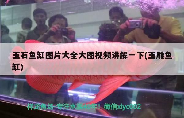 玉石魚缸圖片大全大圖視頻講解一下(玉雕魚缸)