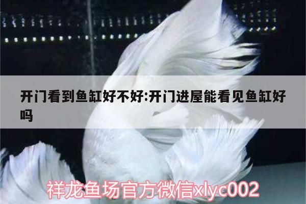 開門看到魚缸好不好:開門進屋能看見魚缸好嗎 開門看到魚缸好不好:開門進屋能看見魚缸好嗎 觀賞魚百科