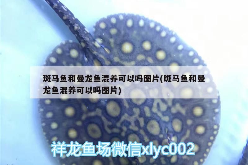 包含渭南魚缸訂制電話號碼查詢的詞條