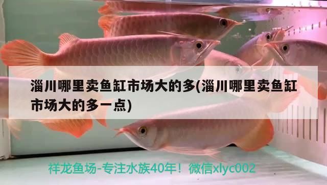 魚缸用增氧泵價格是多少:魚缸增氧機-xtrac增氧機-xtrac增氧機 淄川哪里賣魚缸市場大的多(淄川哪里賣魚缸市場大的多一點) 觀賞魚百科 淄川哪里賣魚缸市場大的多(淄川哪里賣魚缸市場大的多一點) 淄川哪里賣魚缸市場大的多(淄川哪里賣魚缸市場大的多一點) 觀賞魚百科