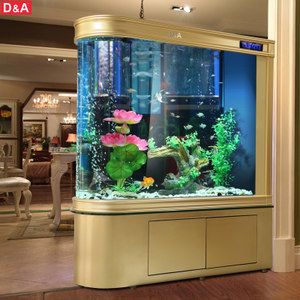 養龍魚用殺菌燈嗎（養龍魚用殺菌燈嗎有毒嗎）