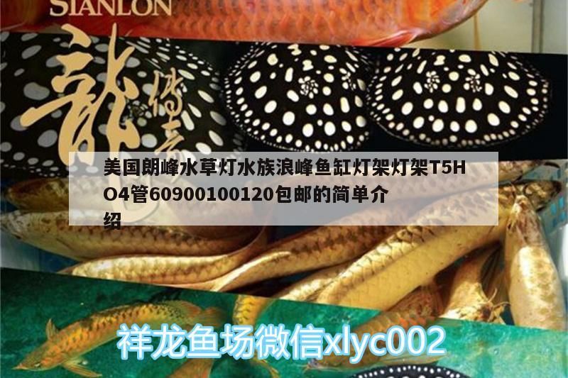 美國朗峰水草燈水族浪峰魚缸燈架燈架T5HO4管60900100120包郵的簡單介紹