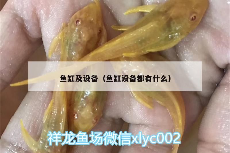 魚缸及設備（魚缸設備都有什么）
