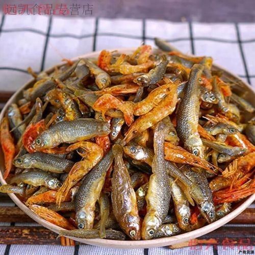 衡山金龍魚2023最新價格表