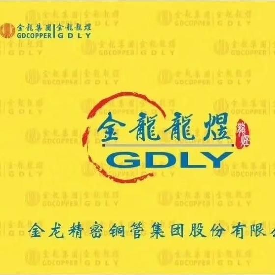 寧夏金龍集團最新情況