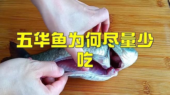五華龍魚盡量少吃的原因
