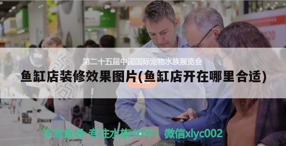 魚缸店裝修效果圖片(魚缸店開在哪里合適)