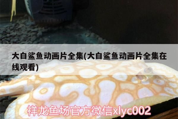 魚缸用增氧泵價格是多少:魚缸增氧機-xtrac增氧機-xtrac增氧機 大白鯊魚動畫片全集(大白鯊魚動畫片全集在線觀看) 觀賞魚百科 大白鯊魚動畫片全集(大白鯊魚動畫片全集在線觀看) 大白鯊魚動畫片全集(大白鯊魚動畫片全集在線觀看) 觀賞魚百科