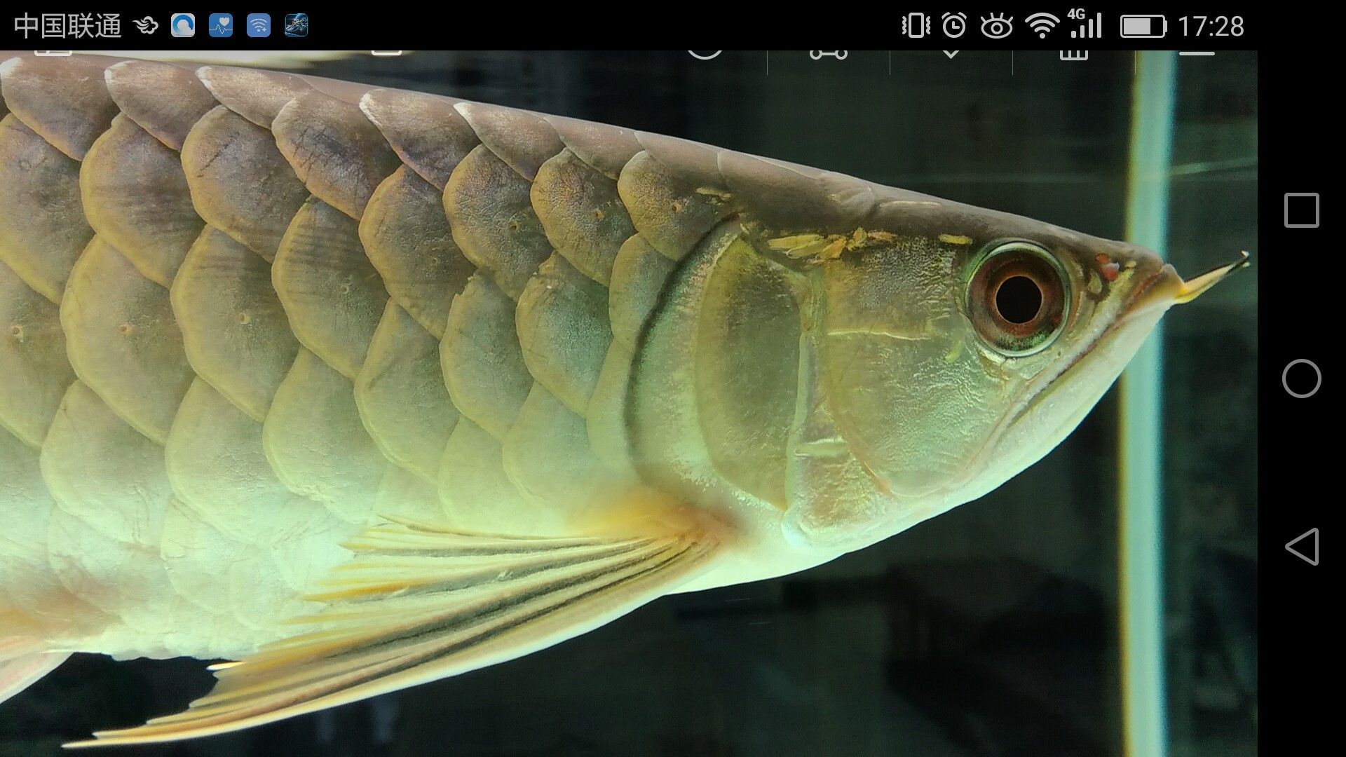 濟(jì)寧水族館家有小龍小龍鱗片光滑么