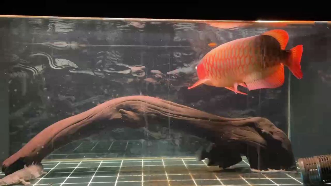 打下卡