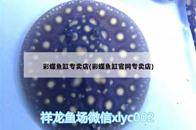 彩蝶魚缸專賣店(彩蝶魚缸官網專賣店)