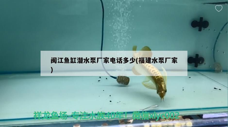閩江魚缸潛水泵廠家電話多少(<strong><mark>福建</mark></strong>水泵廠家)