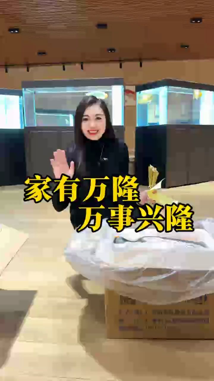 好魚不等人[嘿哈] 超冠F2庫存告急?? 春節前大佬們開始搶魚了[666] 家有萬隆、萬世興隆?? 祝老板們養好魚，行好運?? #萬隆天王紅龍 #紅龍 #龍魚 #觀賞魚 #養魚日記
