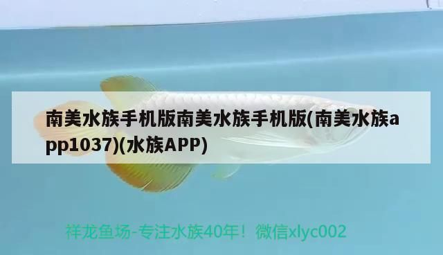 南美水族手機版南美水族手機版(南美水族app1037)(水族APP)
