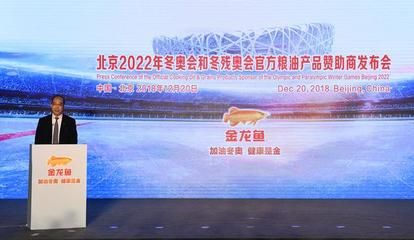 金龍魚吃食物視頻教程：金龍魚吃食物視頻教程全集